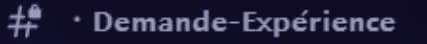 Capture du salon Discord « Demande-Expérience »