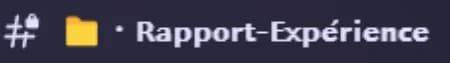 Capture du salon Discord « Rapport-Expérience »