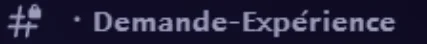 Capture du salon Discord « Demande-Expérience »
