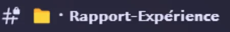 Capture du salon Discord « Rapport-Expérience »